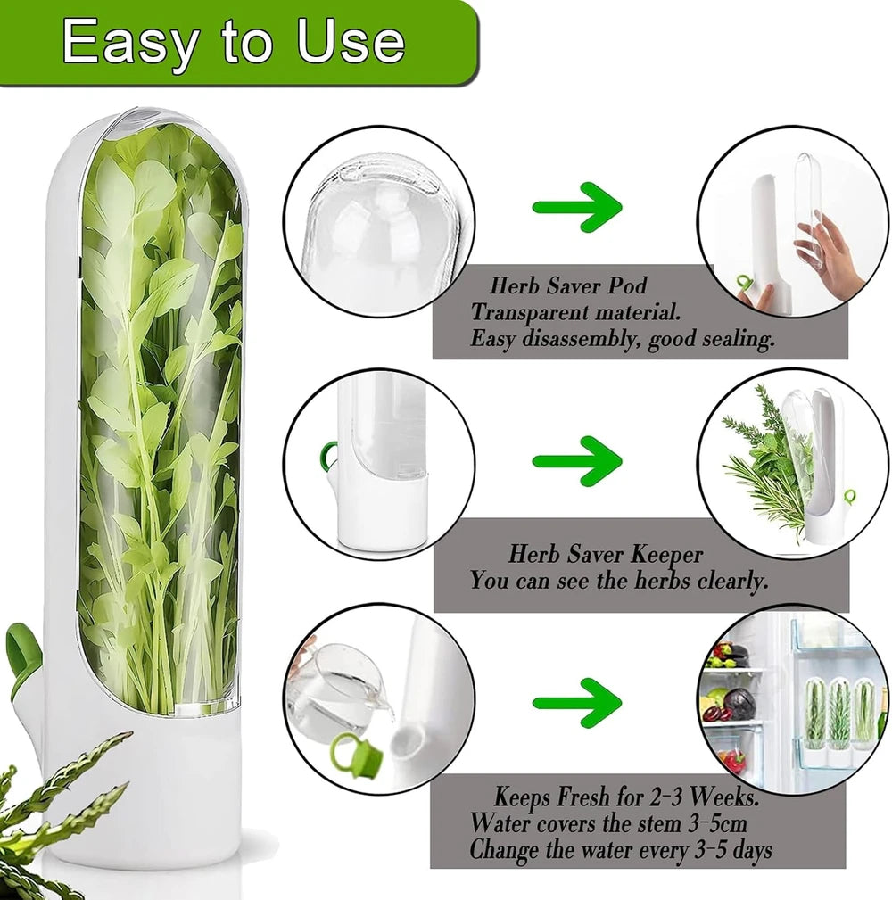 HerbaFresh Contenedor Conservador de Hierbas