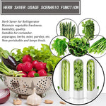 HerbaFresh Contenedor Conservador de Hierbas